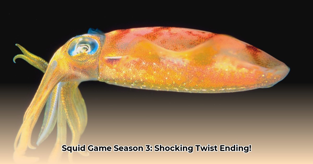 squid-game-season-3-ending-explained
